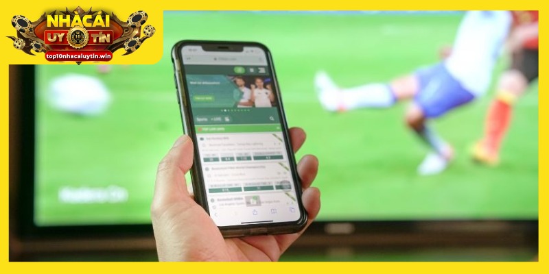 Tham khảo hướng dẫn tải app cá cược để nhận nhiều lợi ích